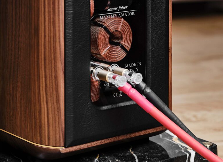SONUS FABER MAXIMA AMATOR, A DREAM COME TRUE