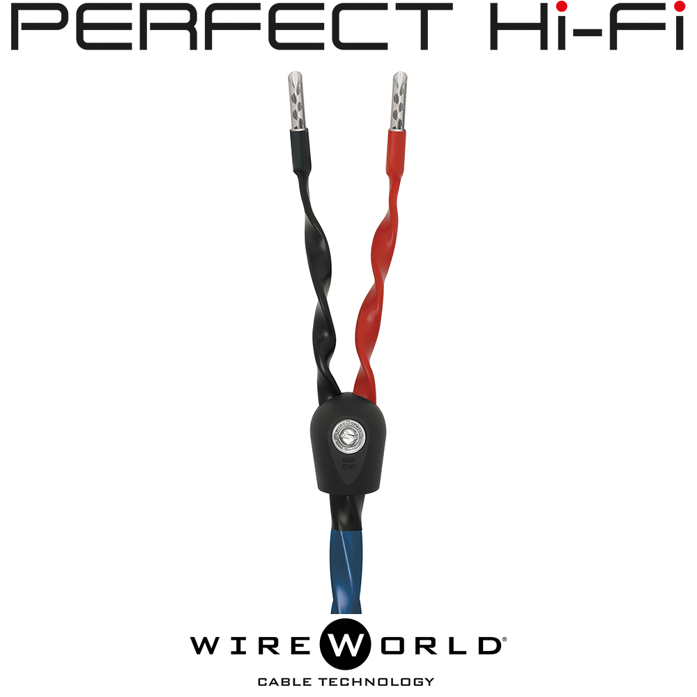 Wireworld Oasis 8 Speaker Cable 2.5 Banana to Banana 2.5 Meter Pair